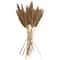 Dried Plant Bamboo Natural Foliage with Long Stems